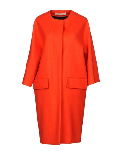 Shop Marni Coats In Red