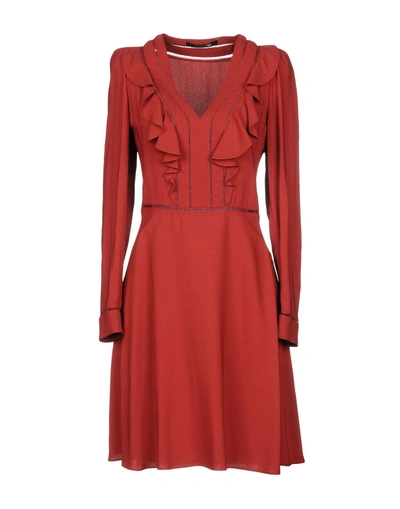 Shop Roberto Cavalli Midi Dresses In Brick Red
