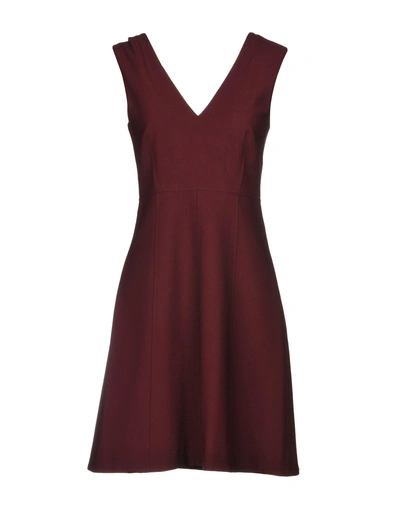 Shop Elizabeth And James Short Dress In Maroon