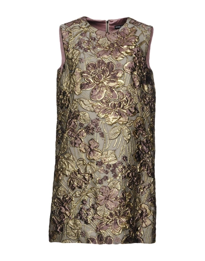 Shop Dolce & Gabbana Short Dresses In Dove Grey