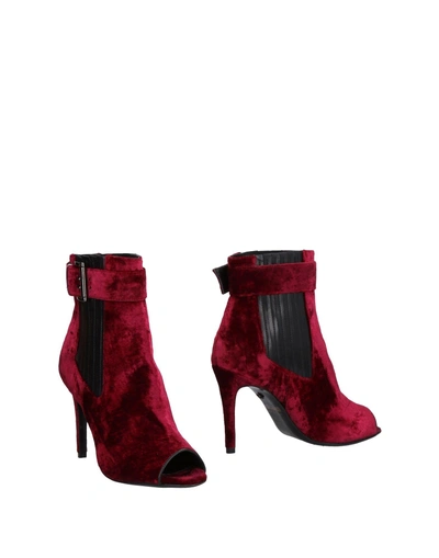 Shop Just Cavalli Ankle Boot In Maroon
