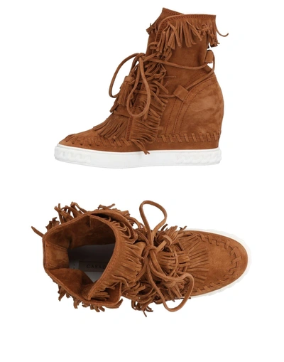 Casadei Sneakers In Brown | ModeSens
