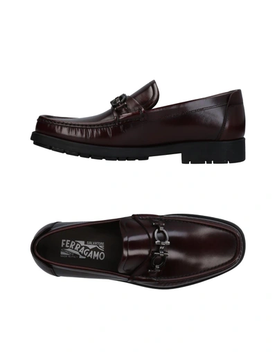 Shop Ferragamo Loafers In Dark Brown