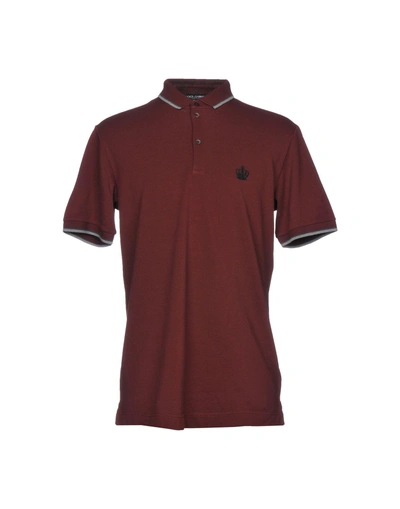 Shop Dolce & Gabbana Man Polo Shirt Burgundy Size 34 Cotton In Red