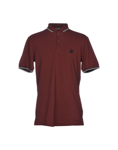 Shop Dolce & Gabbana Man Polo Shirt Burgundy Size 36 Cotton In Red