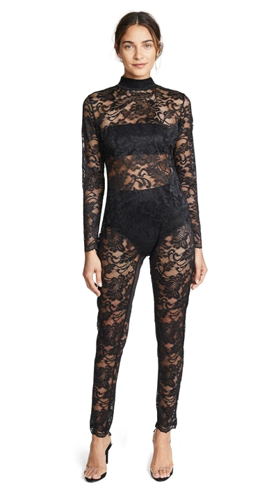 Shop Kisskill Lace Catsuit In Black