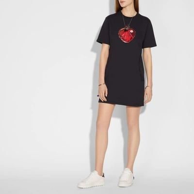 Shop Coach Disney X T-shirt Kleid Vergifteter Apfel In Black