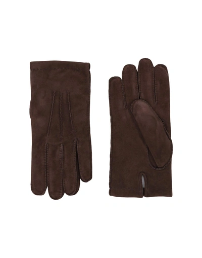Shop Eleventy Gloves In Dark Brown