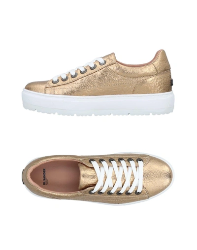 Shop Jil Sander Sneakers In Gold
