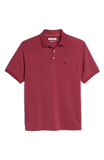 Shop Tommy Bahama Coastal Crest Polo In Beet Red