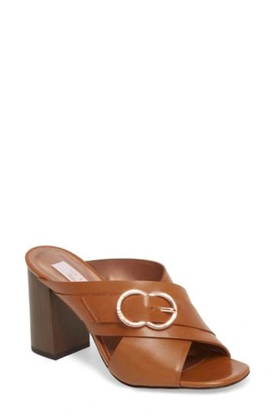 Shop Ted Baker Maladas Slide Sandal In Tan Leather