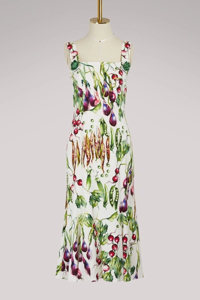 Shop Dolce & Gabbana Mix Vegetables Maxi Dress In Multi