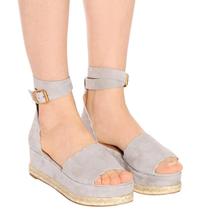 Shop Chloé Lauren Suede Platform Sandals In Grey