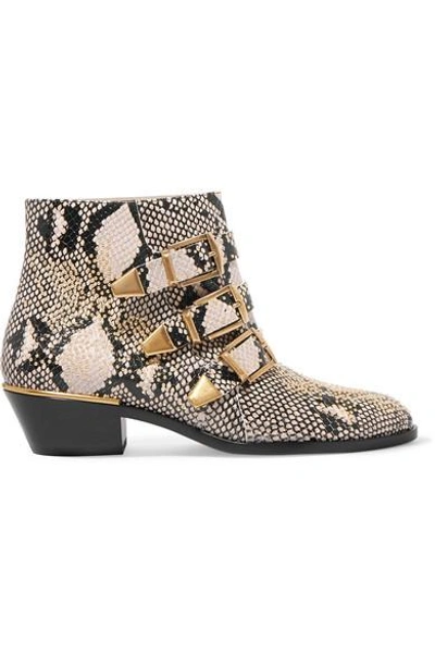 Shop Chloé Susanna Studded Snake-effect Leather Ankle Boots In Snake Print