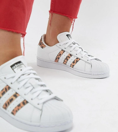 Adidas Originals Superstar Sneakers With Leopard Print Trim - Black |  ModeSens