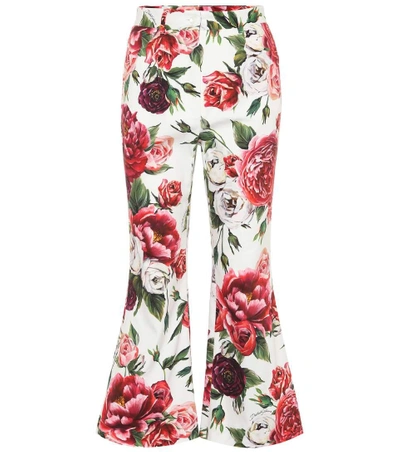 Shop Dolce & Gabbana Floral-printed Stretch Cotton Pants In Multicoloured