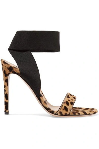 Shop Gianvito Rossi 105 Leopard-print Calf Hair Sandals In Leopard Print