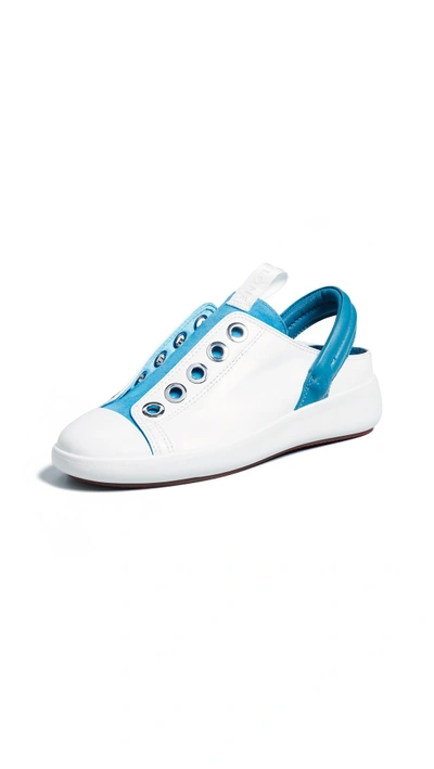 Shop Clone Moonstone Sneakers In White/light Blue