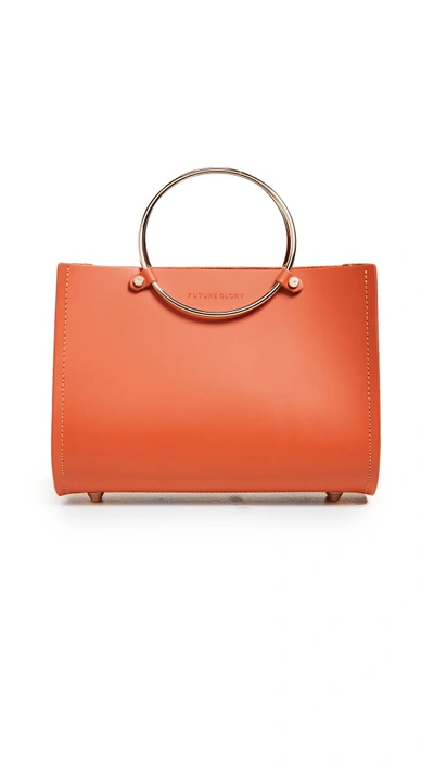 Shop Future Glory Rockwell Mini Bag In Orange