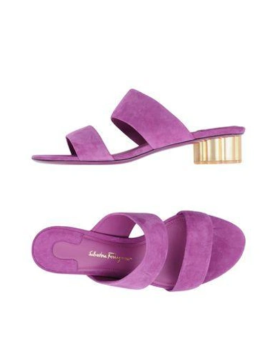 Shop Ferragamo Sandals In Light Purple