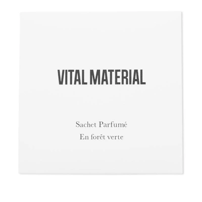 Shop Vital Material En Foret Verte Soy Wax Sachet In N/a