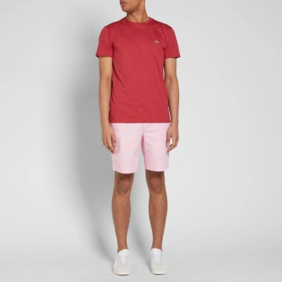 Shop Polo Ralph Lauren Classic Fit Bedford Chino Short In Pink