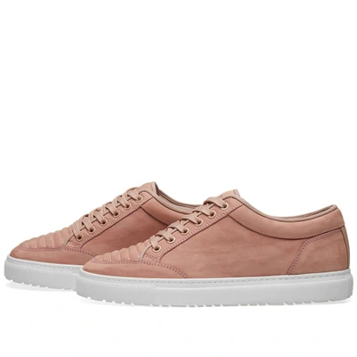 Shop Etq. Low Top 2 Sneaker In Pink