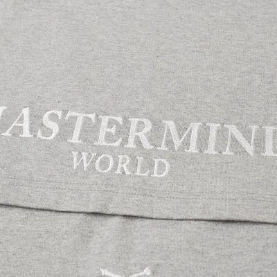 Shop Mastermind Japan Mastermind World Embroidered Skull Tee In Grey