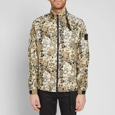 Stone island deals alligator jacket
