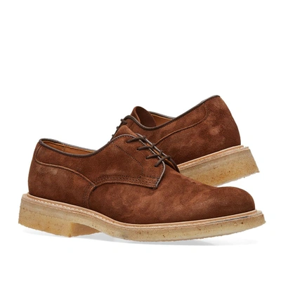 Shop Tricker's Woodstock Derby Shoe In Brown