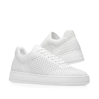Shop Etq. Low 5 Sneaker In White