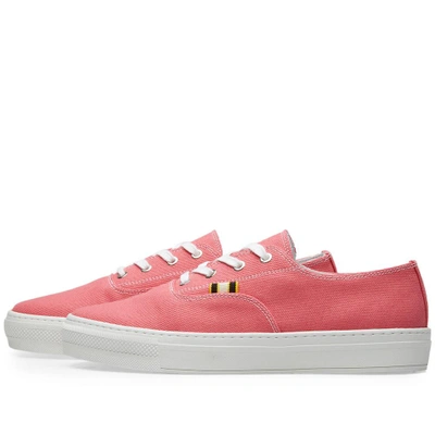 Shop Aprix Canvas Sneaker In Pink