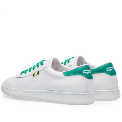 Shop Aprix Canvas Low Sneaker In Green