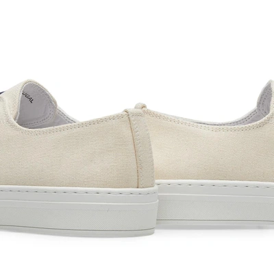 Shop Aprix Canvas Sneaker In White