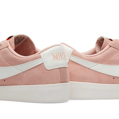 Shop Nike Blazer Low W In Pink