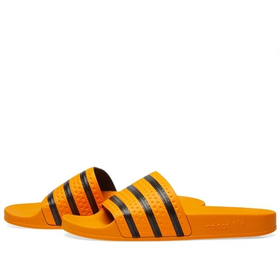 adidas 18.1 predator pink