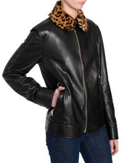 Shop Dolce & Gabbana Leopard Print Collar Leather Jacket In Black