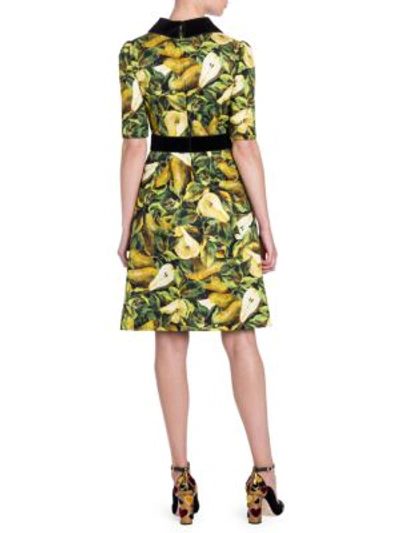 Shop Dolce & Gabbana Floral Brocade Velvet Trim Dress In Green Pear