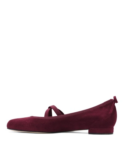 Shop Stuart Weitzman The Bolshoi Flat In Bordeaux Suede