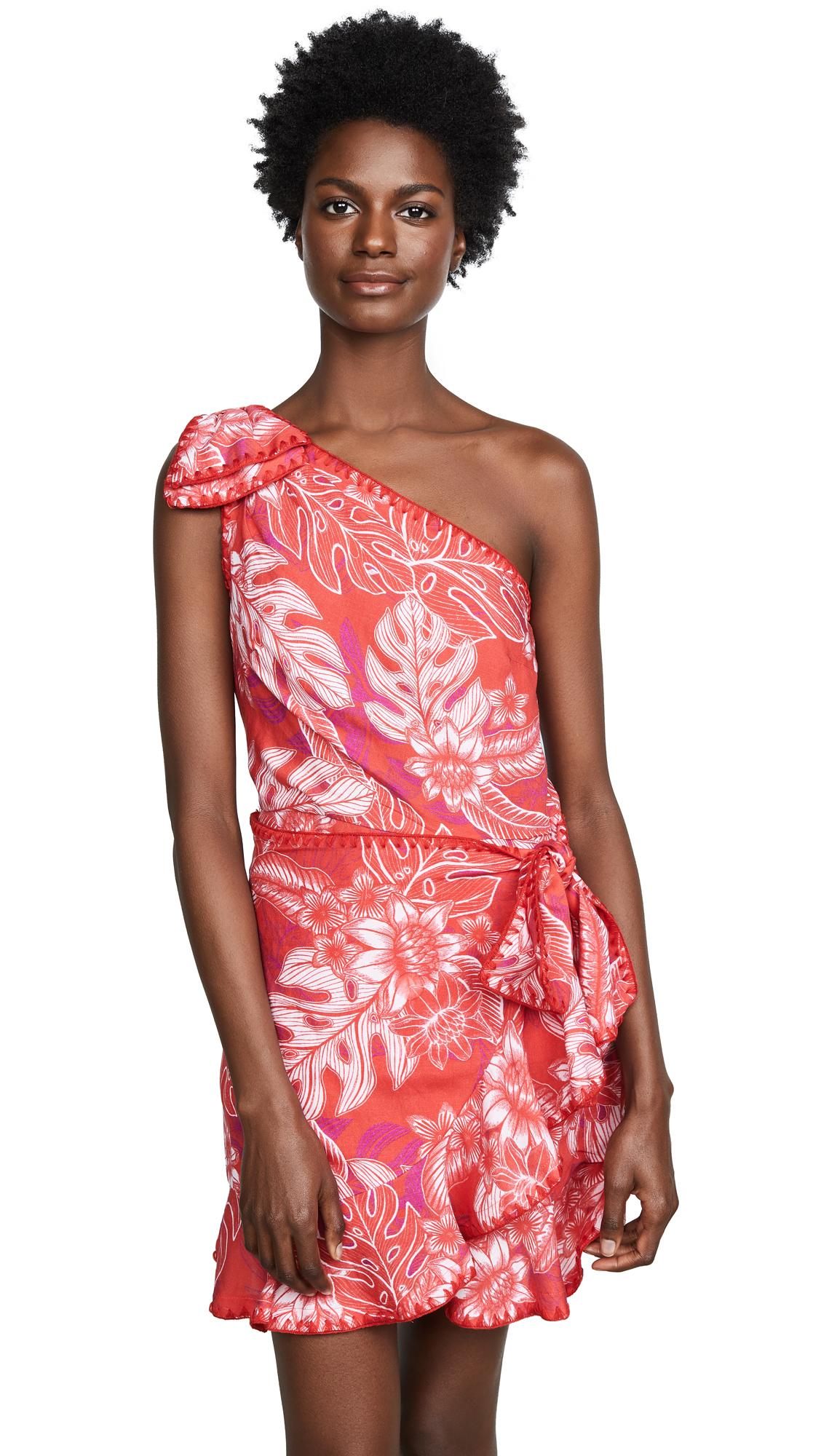 Red Carter Lanai Dress In Frondtastic 