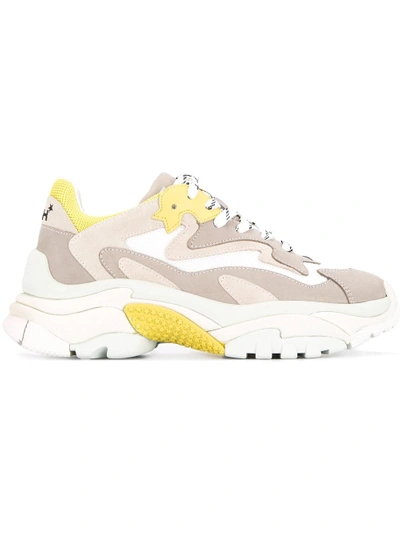 Addict sneakers