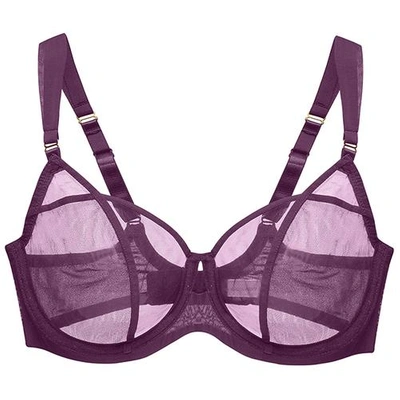 Shop Adina Reay 28dd To 36g Adina Reay 28dd To 38g Fran Aubergine Balcony Bra