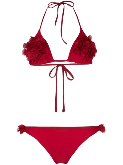 Shop La Reveche Shayana Appliqué Bikini Set