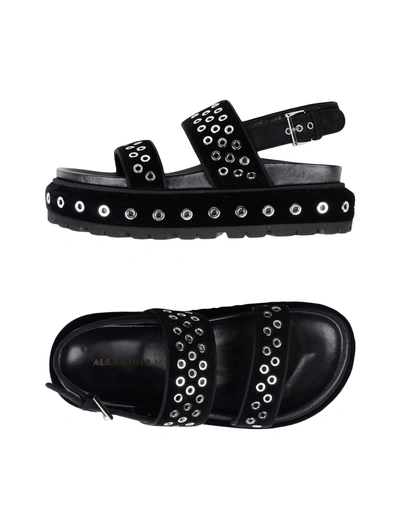 Shop Alexander Mcqueen Sandals In Black