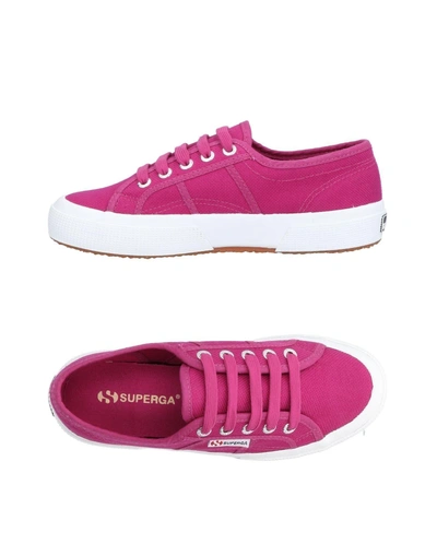 Shop Superga Sneakers In Fuchsia