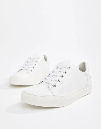 Shop Paul & Joe Sister Cat Back Plimsole Sneaker - White