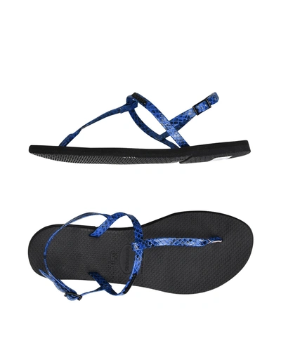 Shop Havaianas Flip Flops In Blue