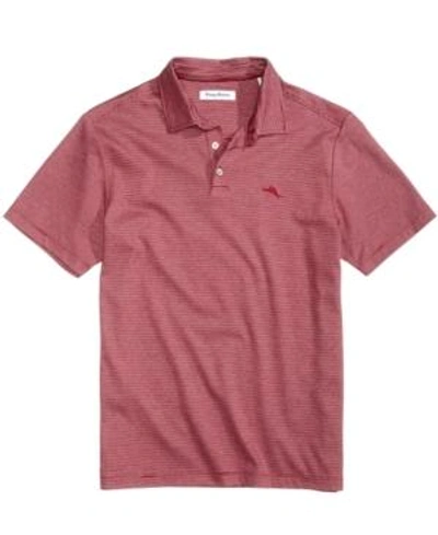 Shop Tommy Bahama Men's Pacific Shore Polo In Beet Red Heather