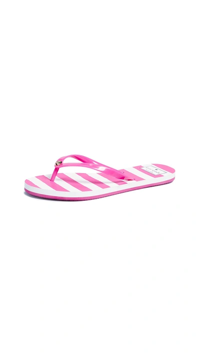 Shop Kate Spade Nassau Flip Flops In Pink/white Stripe