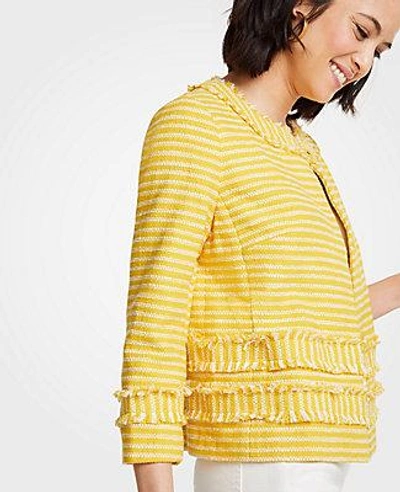 Shop Ann Taylor Striped Fringe Jacket In Spectra Yellow